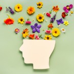 Graphic of head with flowers coming out of the top