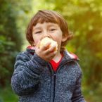 a child eats an apple