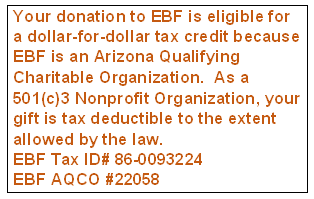 EBF Tax Box3