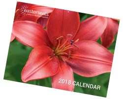 easter seals 2021 calendar Easterseals easter seals 2021 calendar